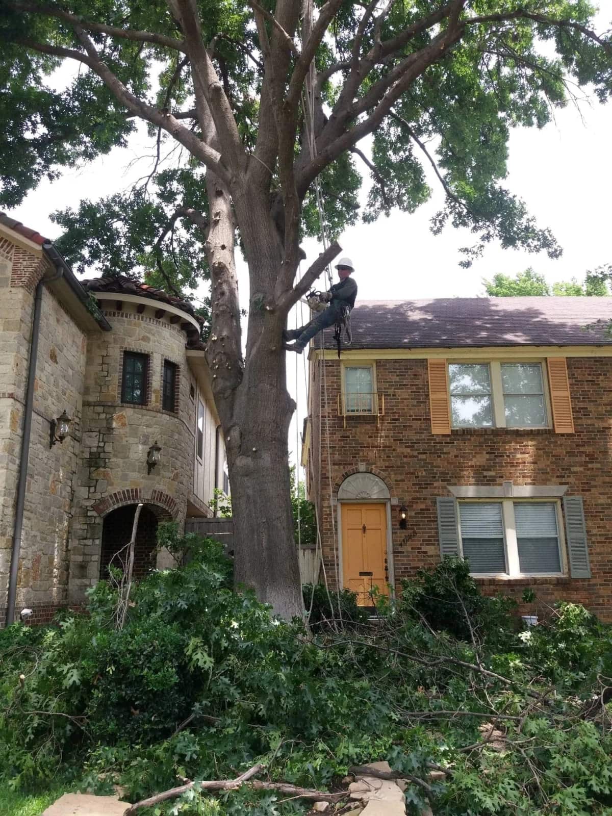 Jose Ramirez, founder of Four Seasons Tree Services